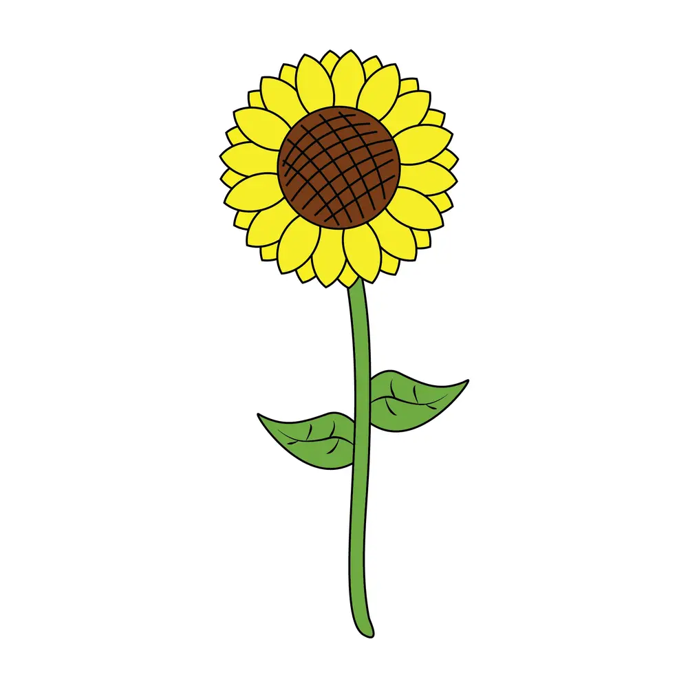 How to Draw A Sunflower Step by Step Step  9