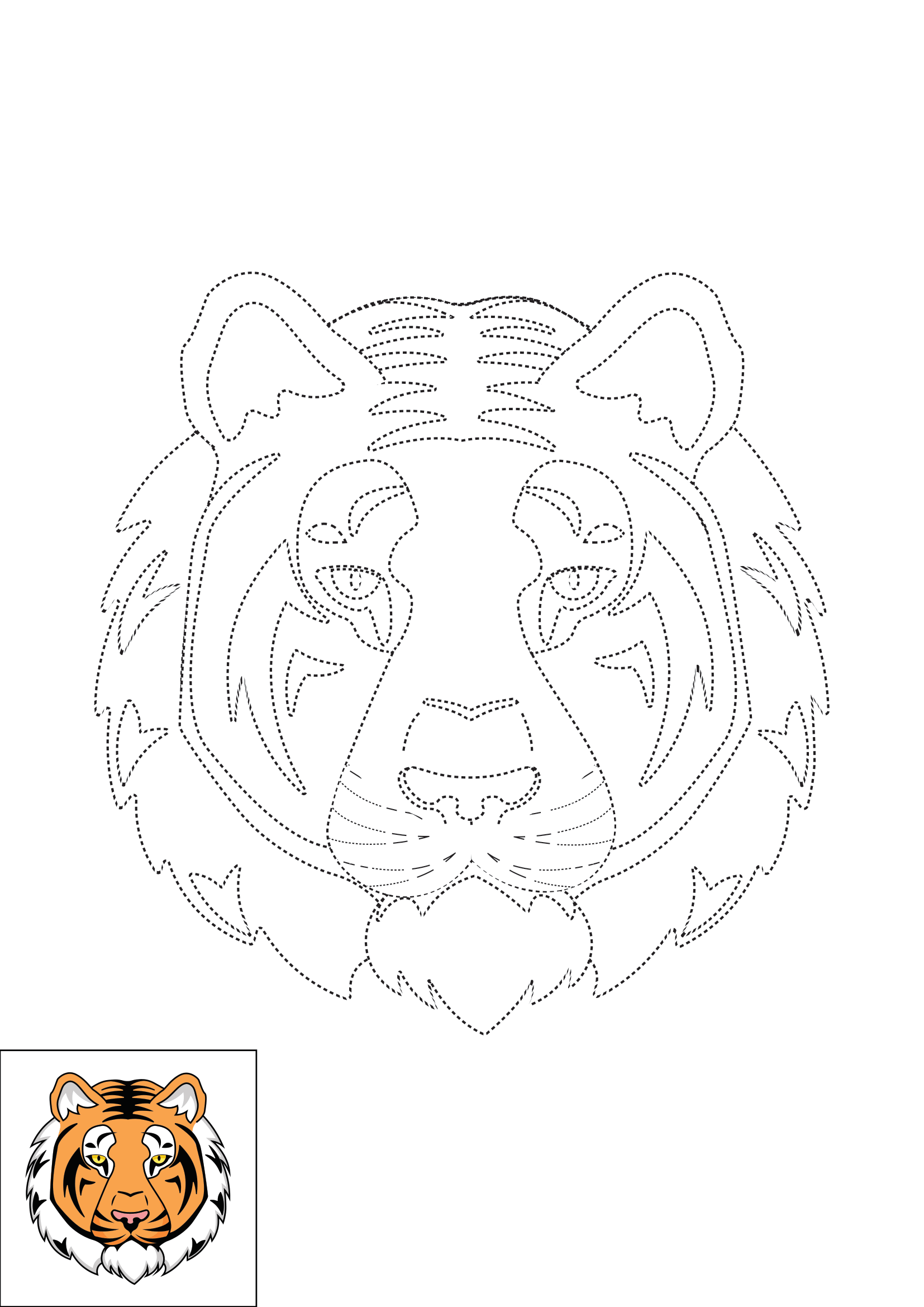 How to Draw A Tiger Face Step by Step Printable Dotted