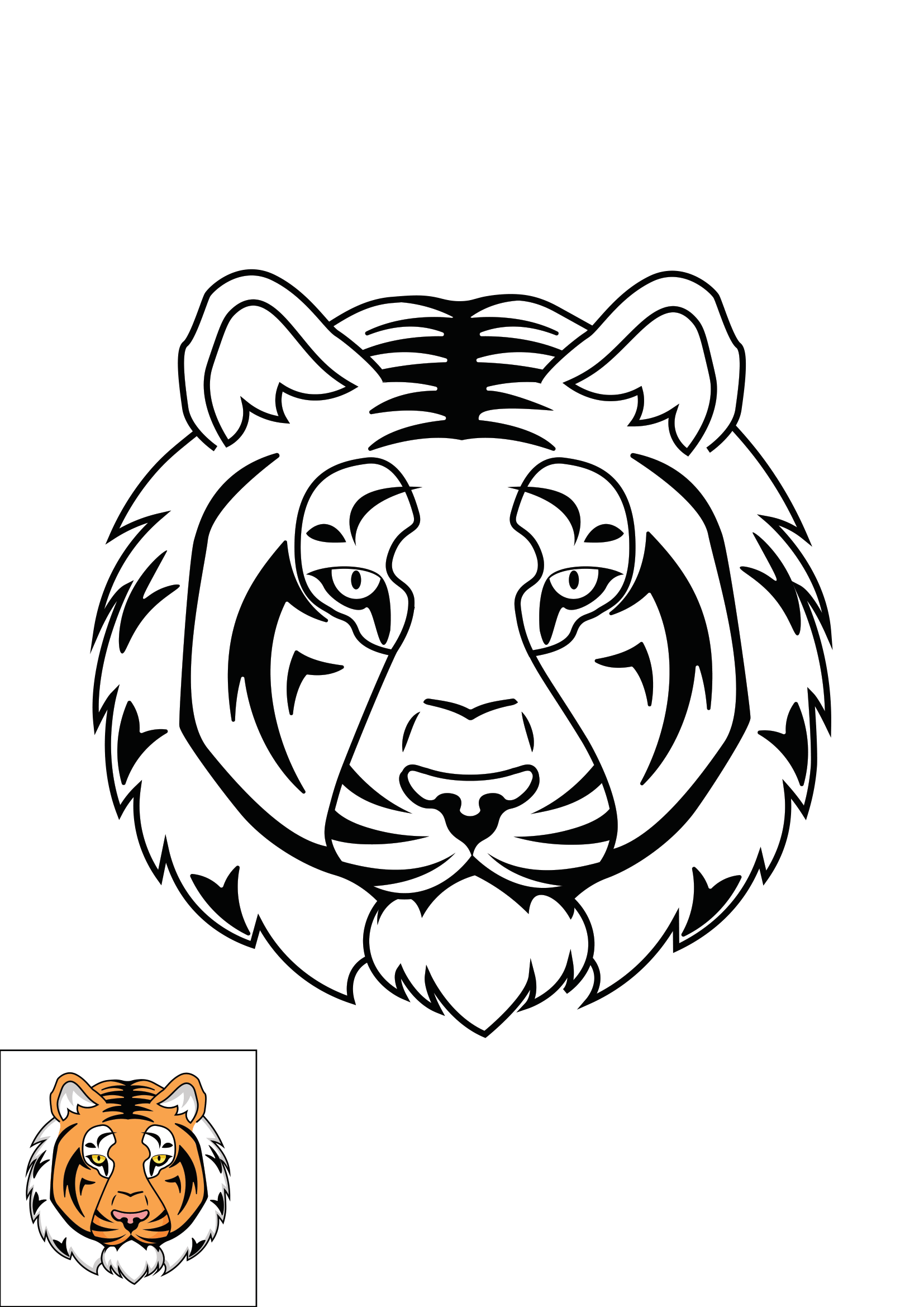 How to Draw A Tiger Face Step by Step Printable Color