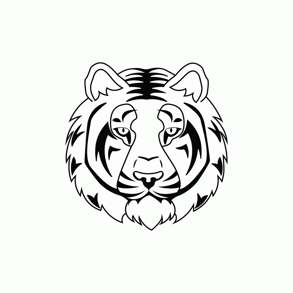 How to Draw A Tiger Face Step by Step Step  9