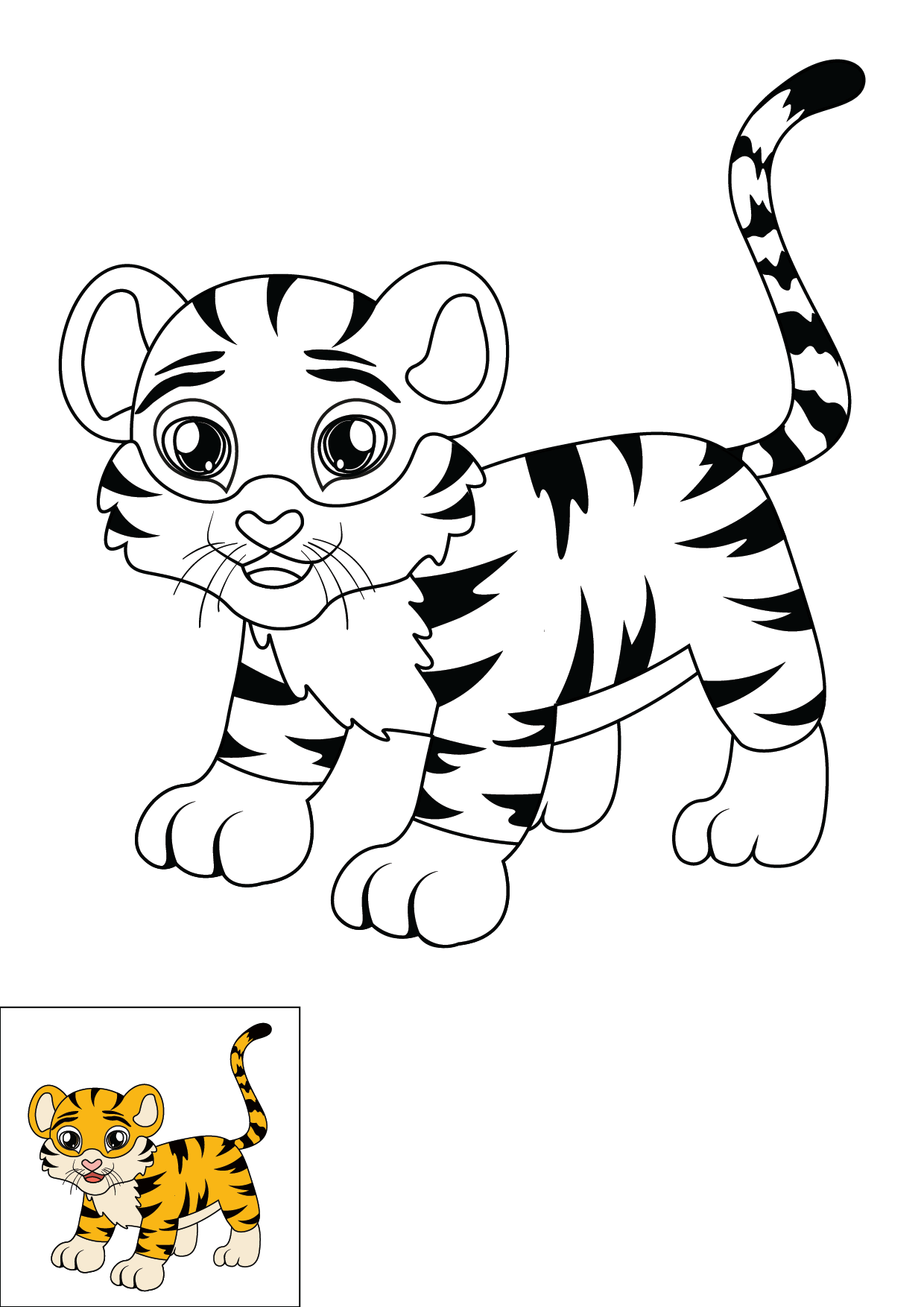 How to Draw A Tiger Step by Step Printable Color