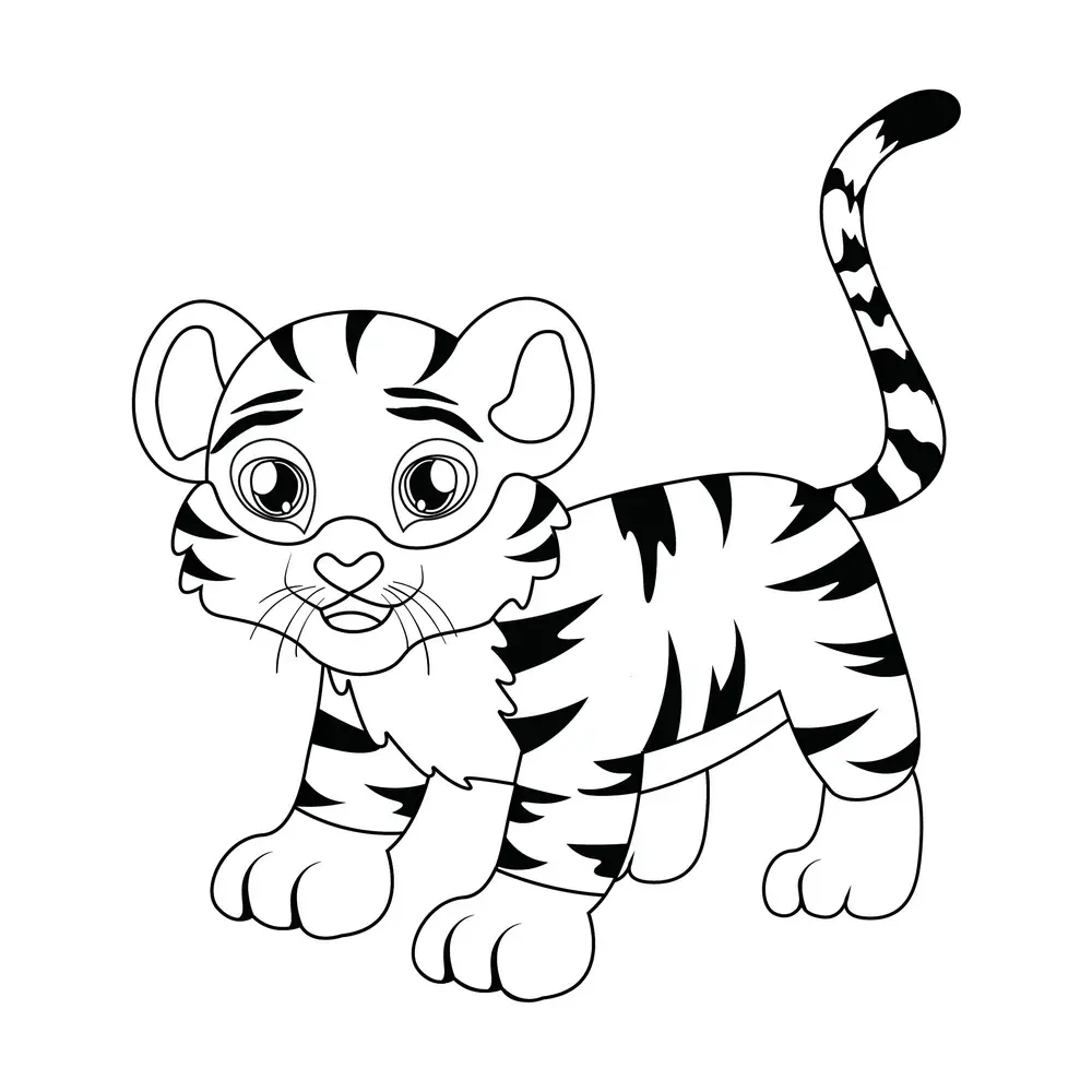 How to Draw A Tiger Step by Step Step  10
