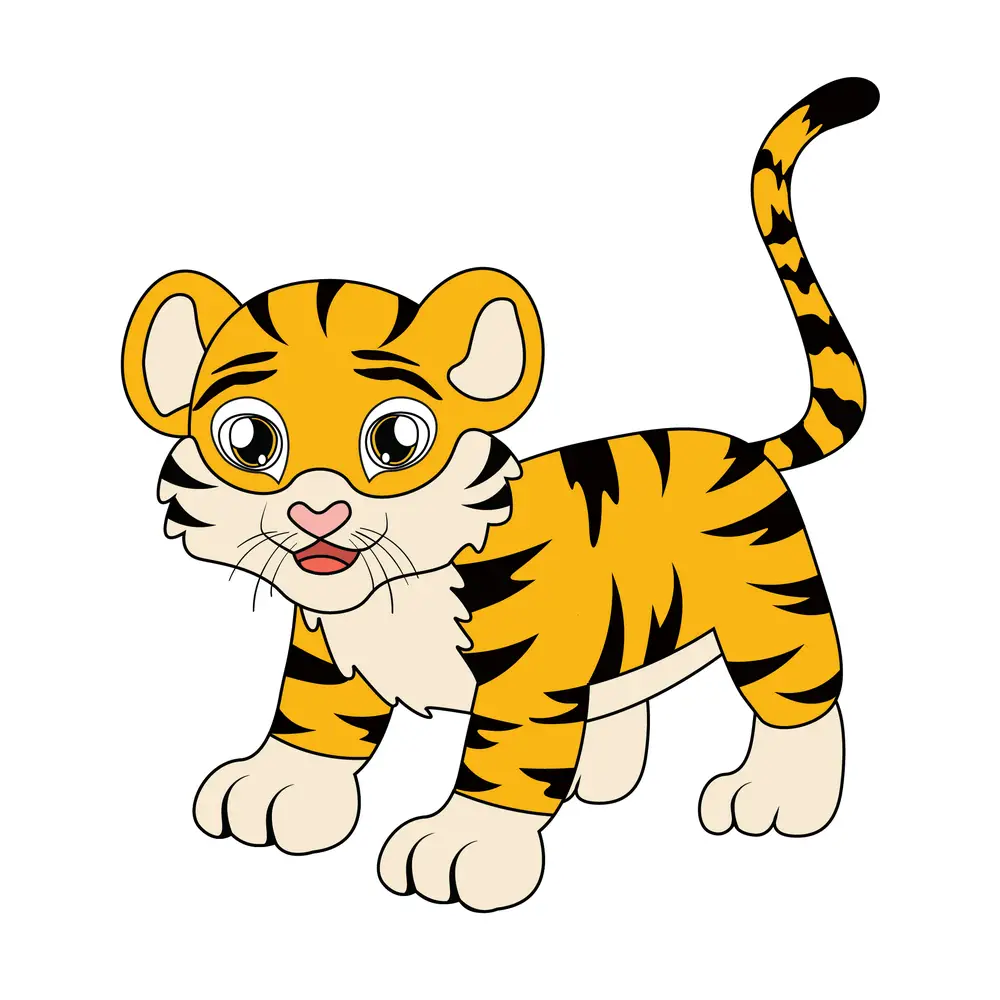 How to Draw A Tiger Step by Step Step  11