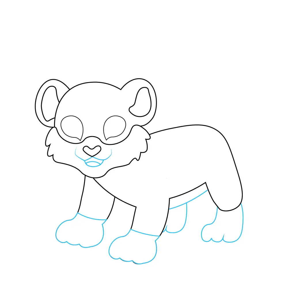 How to Draw A Tiger Step by Step Step  6