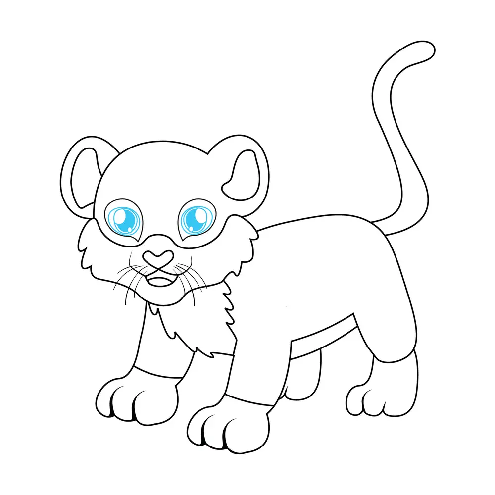 How to Draw A Tiger Step by Step Step  8