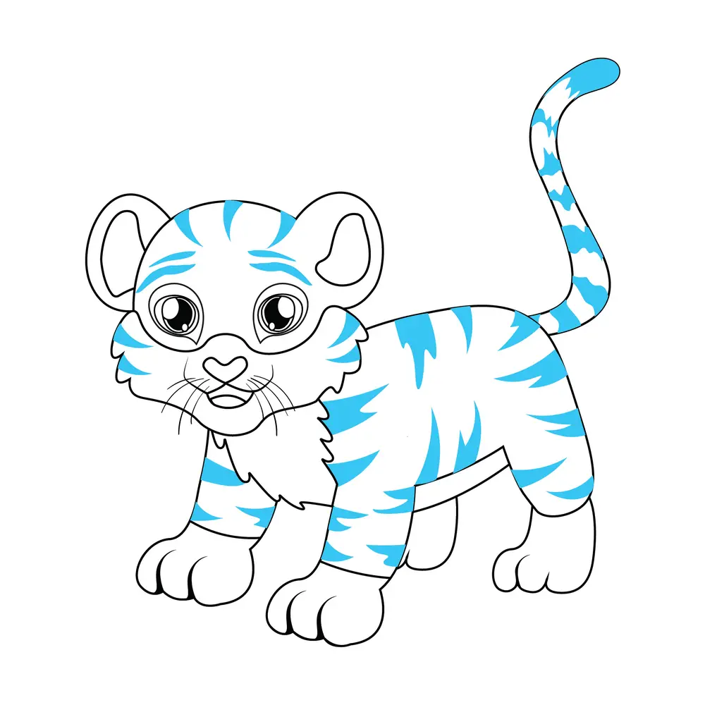 How to Draw A Tiger Step by Step Step  9