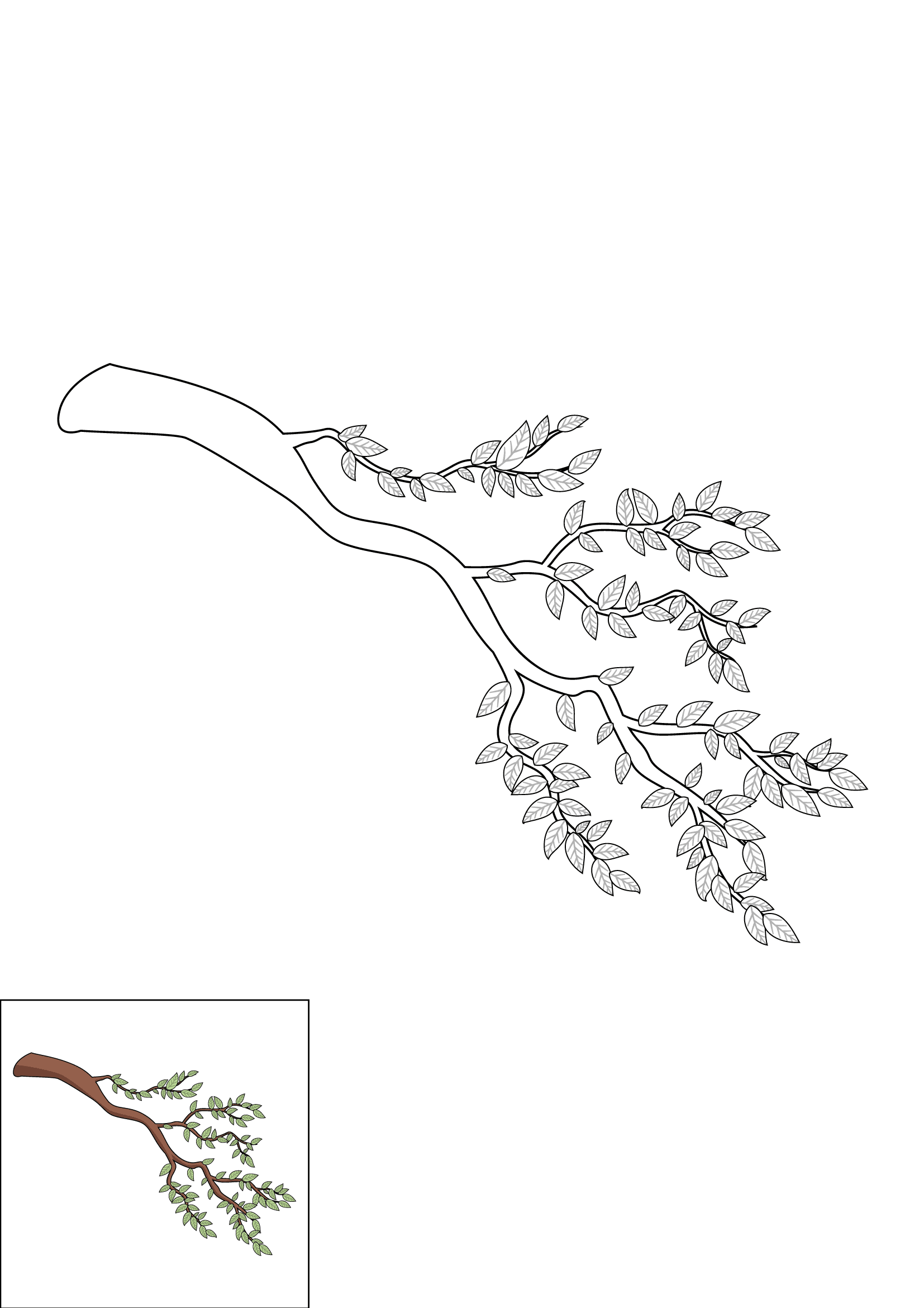 How to Draw A Tree Branch Step by Step Printable Color