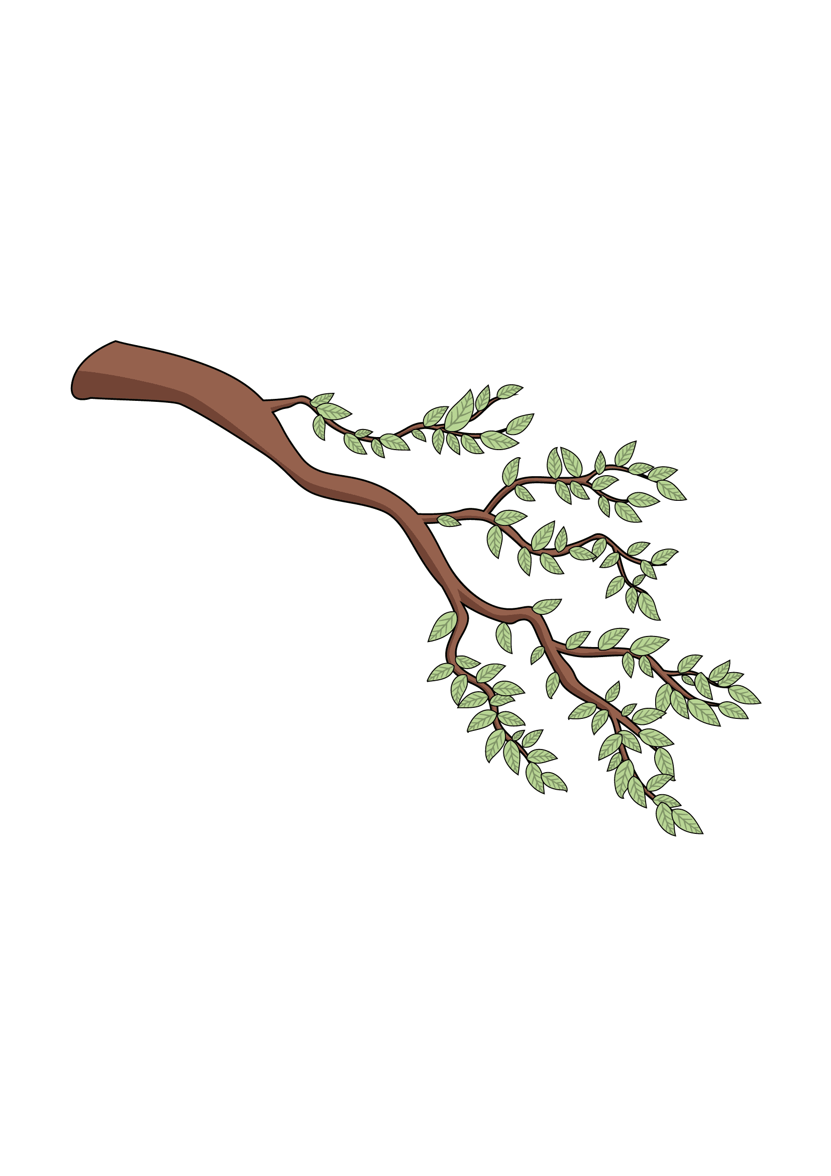 How to Draw A Tree Branch Step by Step Printable
