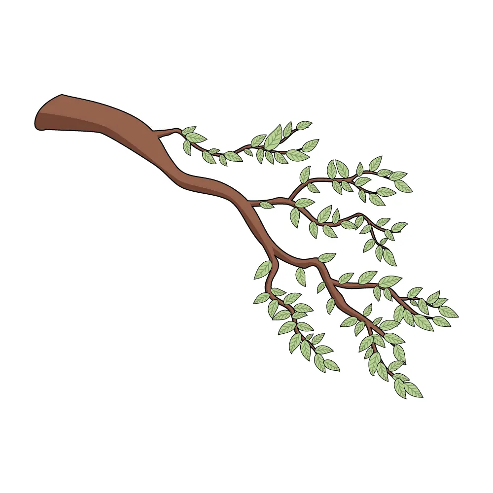 How to Draw A Tree Branch Step by Step Step  10