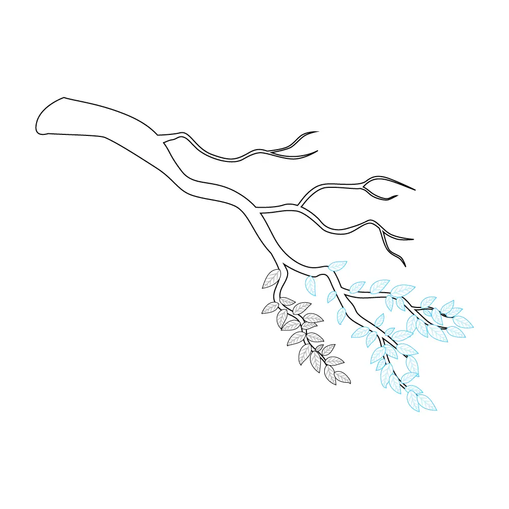 How to Draw A Tree Branch Step by Step Step  6