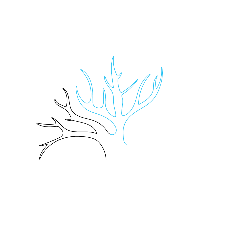 How to Draw A Tree Of Life Step by Step Step  2