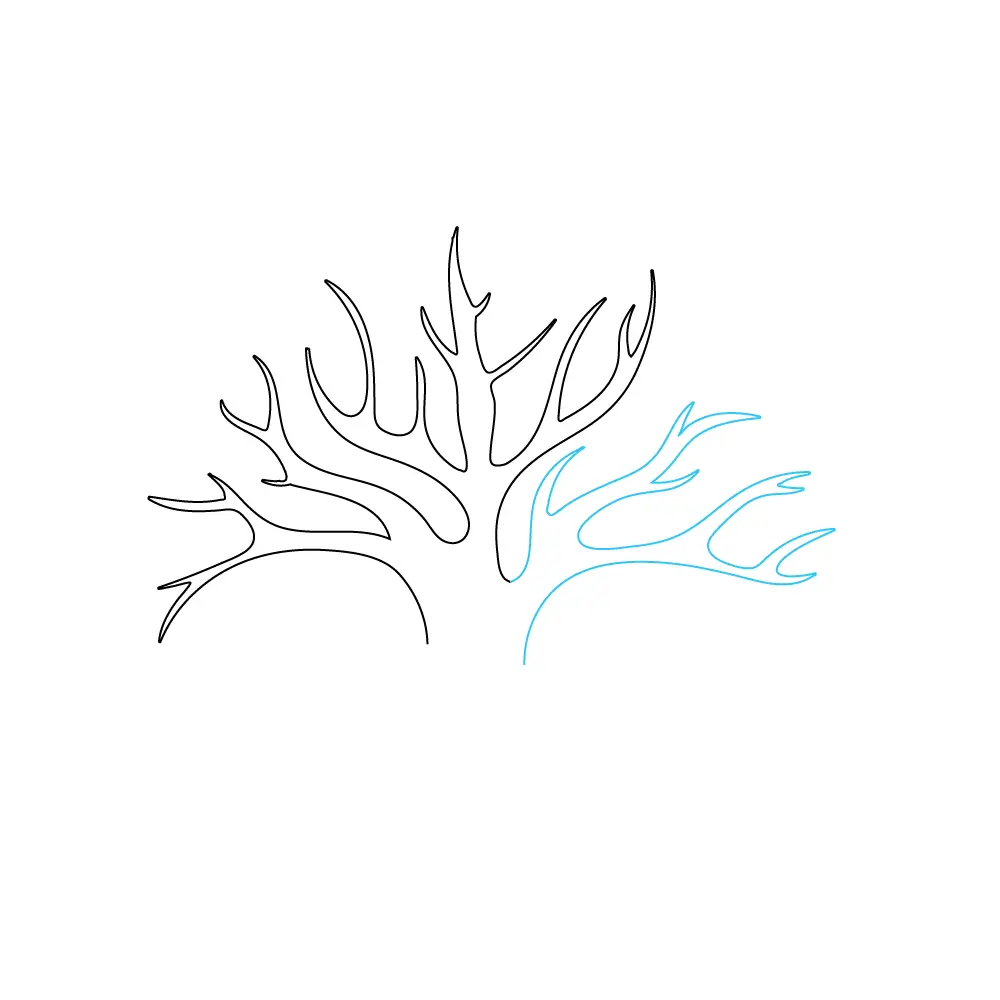 How to Draw A Tree Of Life Step by Step Step  3