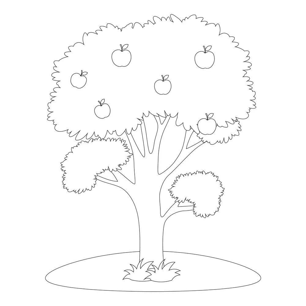 How to Draw A Tree Step by Step Step  9