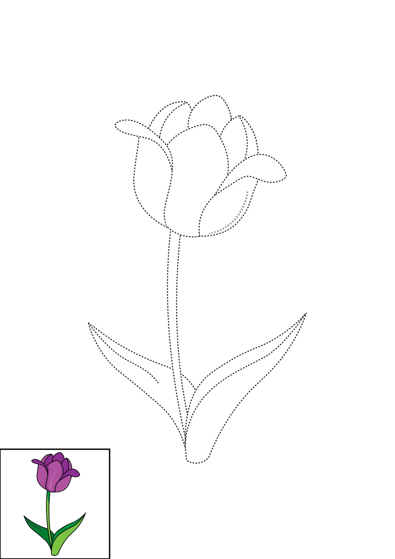 How to Draw A Tulip Step by Step Printable Dotted