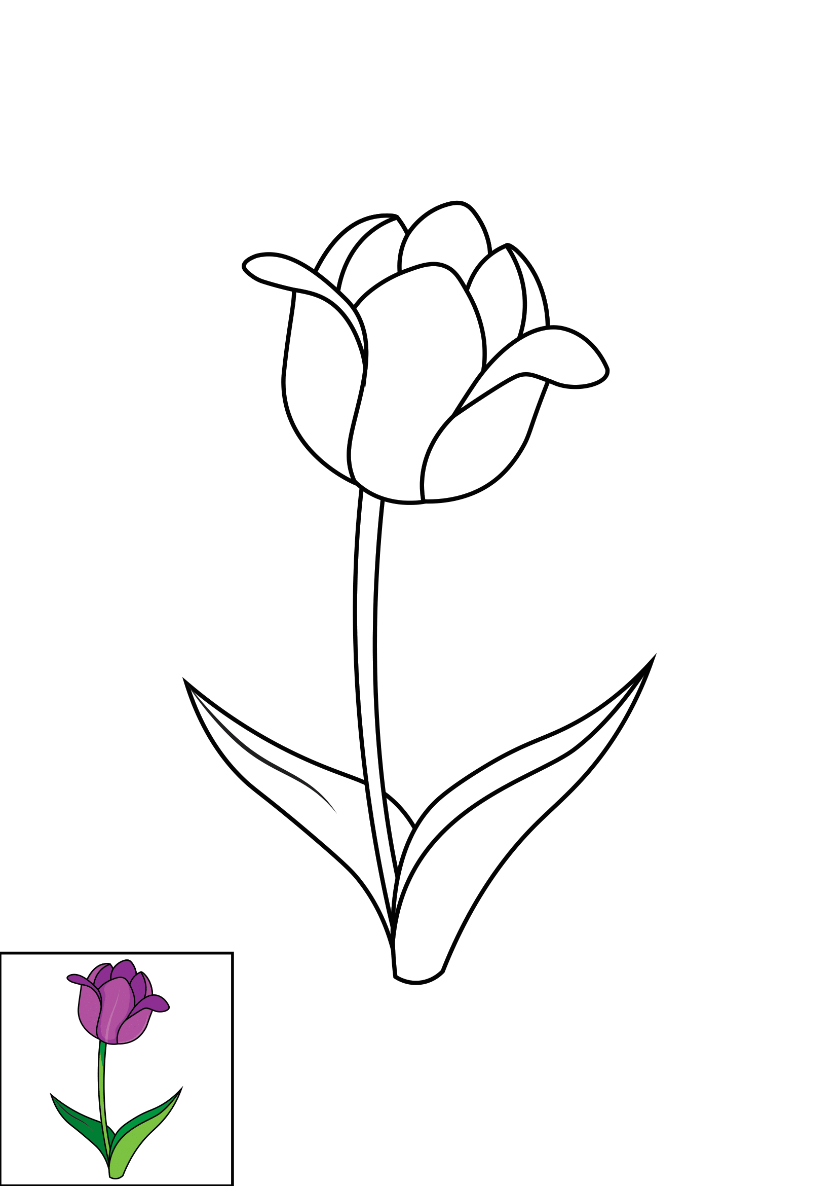 How to Draw A Tulip Step by Step Printable Color