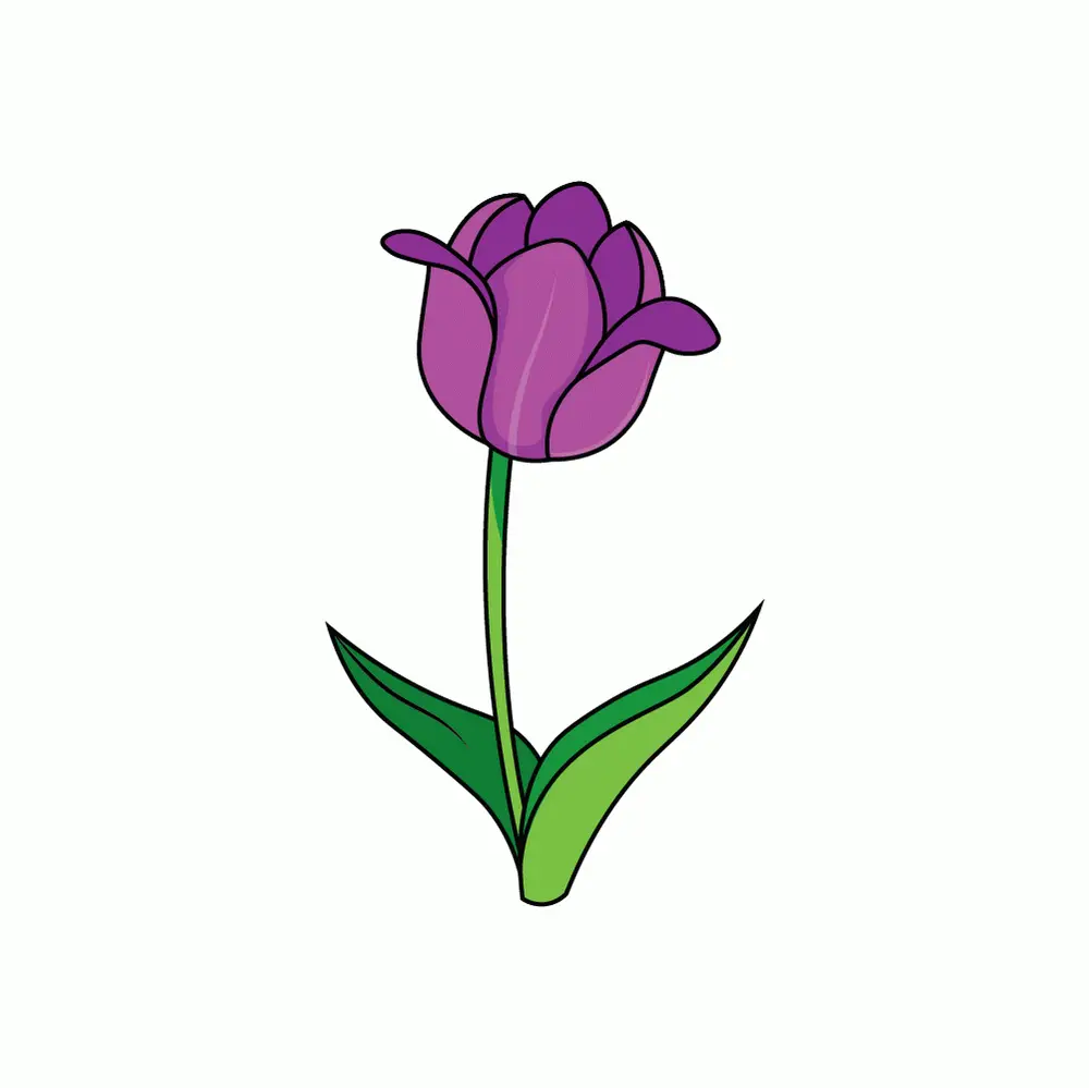 How to Draw A Tulip Step by Step Step  10