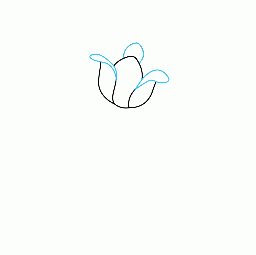 How to Draw A Tulip Step by Step Step  3