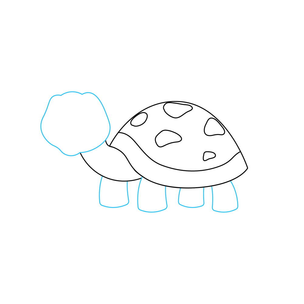 How to Draw A Turtle Step by Step Step  4