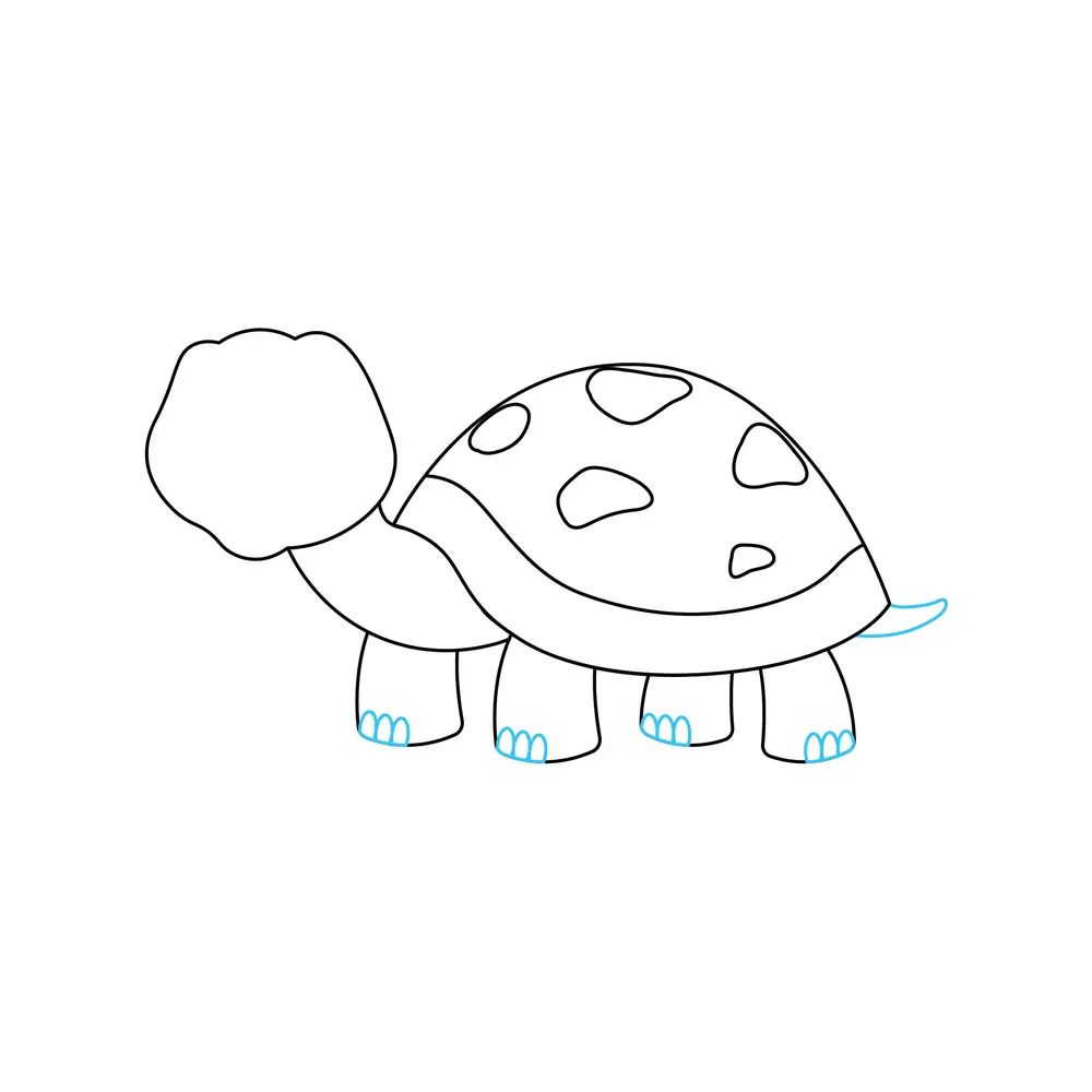 How to Draw A Turtle Step by Step Step  5