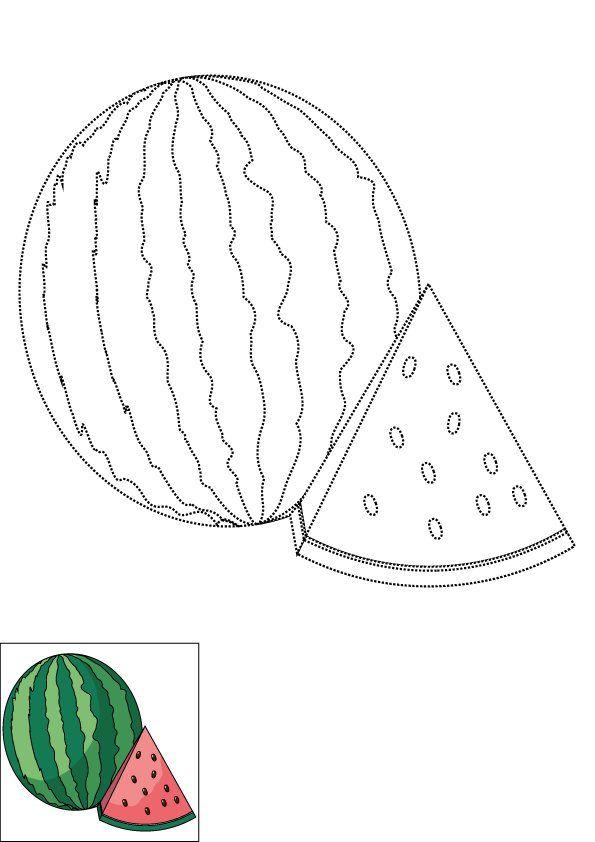 How to Draw A Watermelon Step by Step Printable Dotted