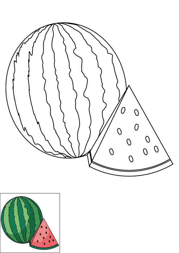 How to Draw A Watermelon Step by Step Printable Color