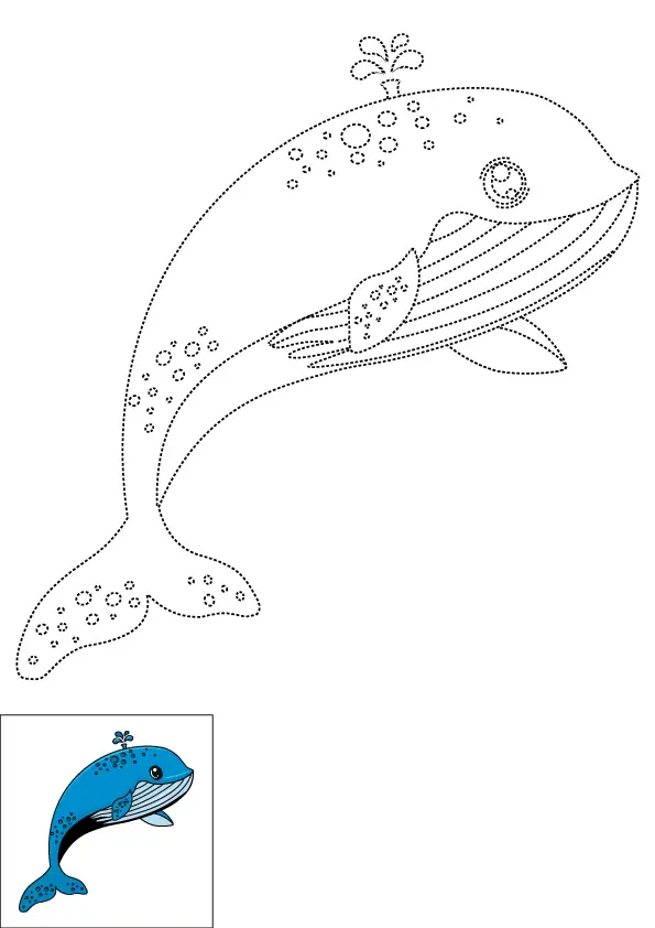 How to Draw A Whale Step by Step Printable Dotted