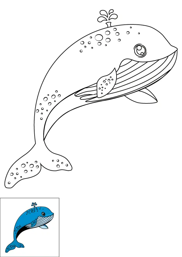 How to Draw A Whale Step by Step Printable Color
