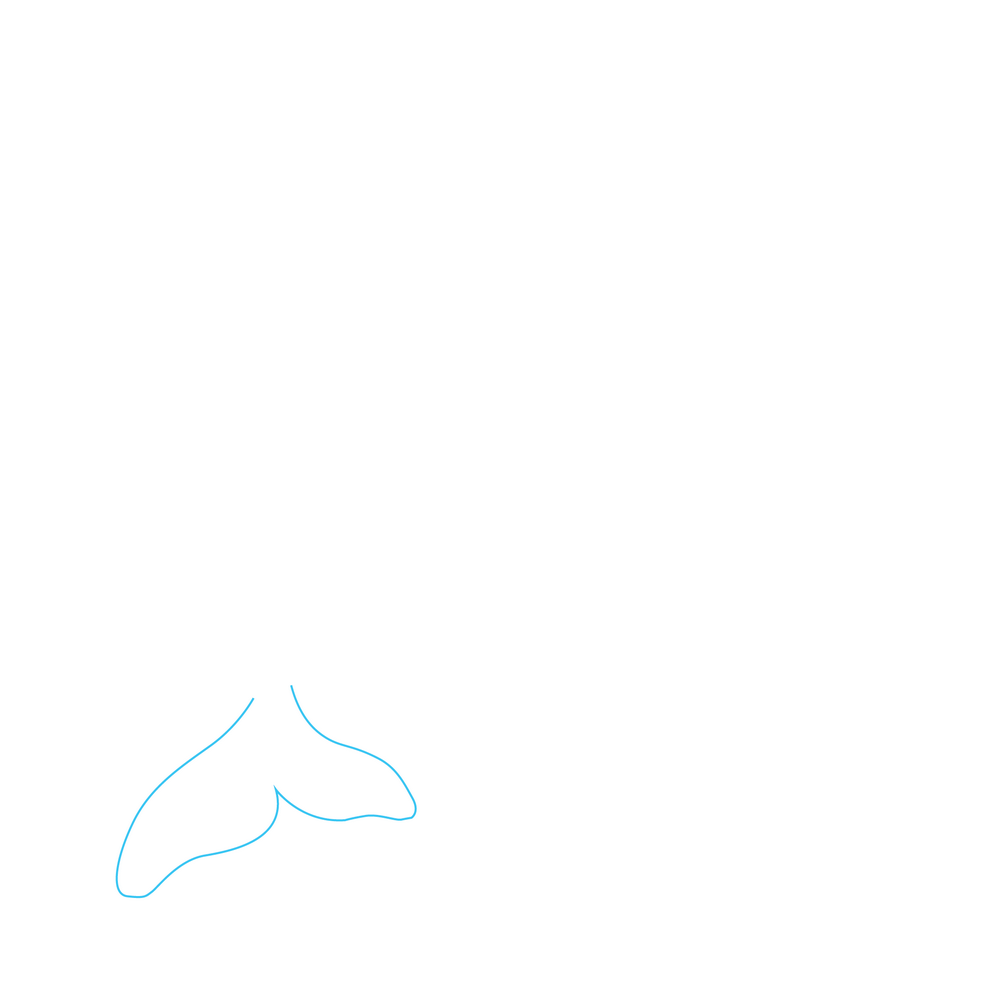 How to Draw A Whale Step by Step Step  1