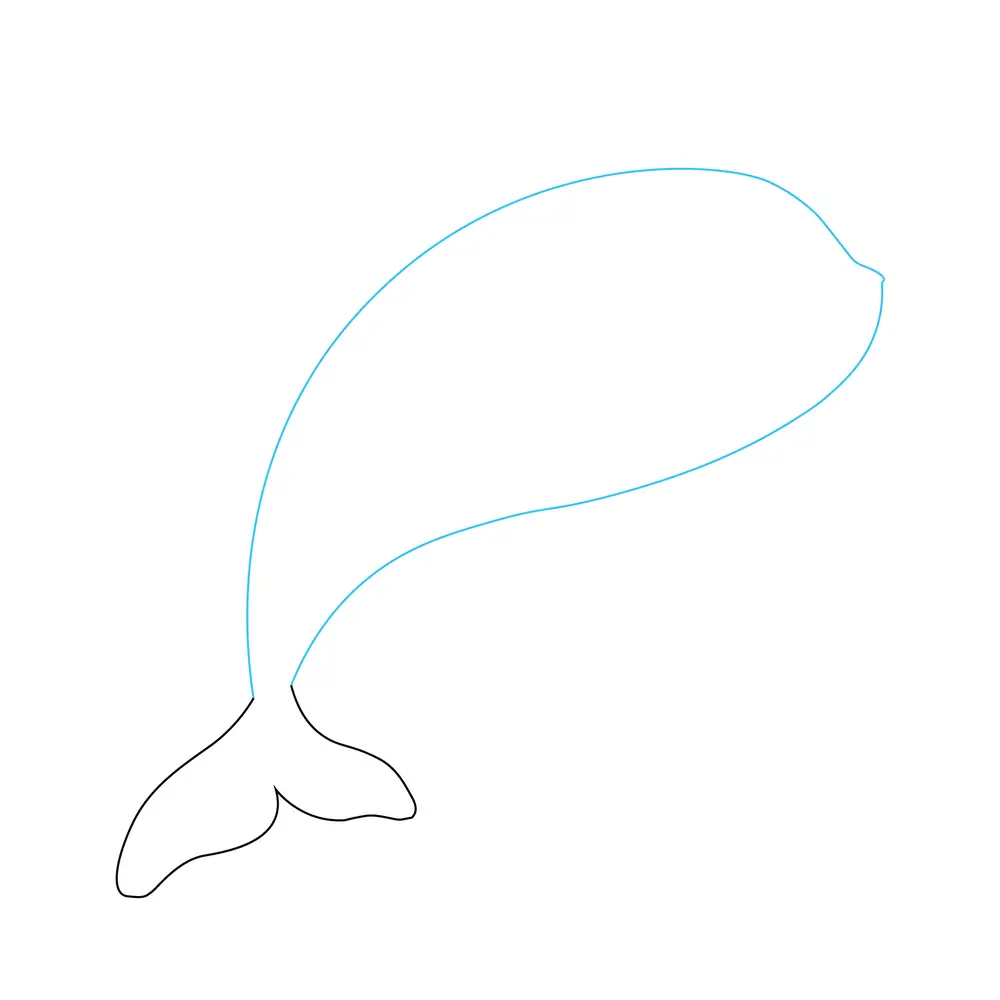 How to Draw A Whale Step by Step Step  2