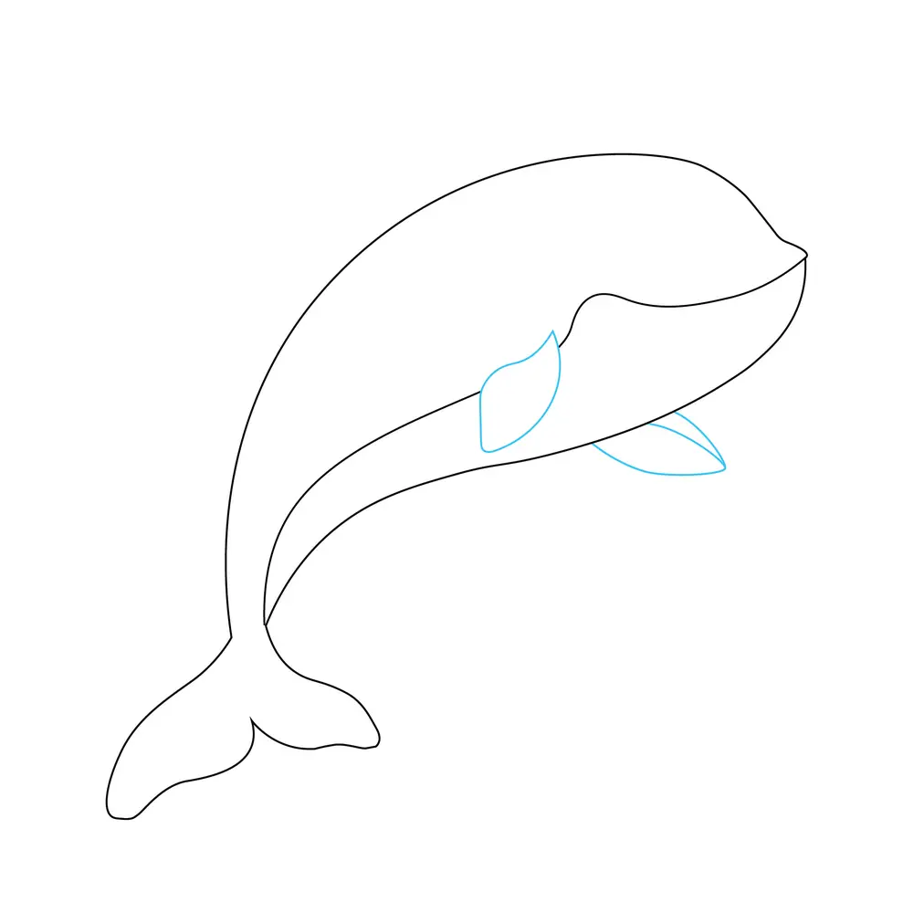 How to Draw A Whale Step by Step Step  4