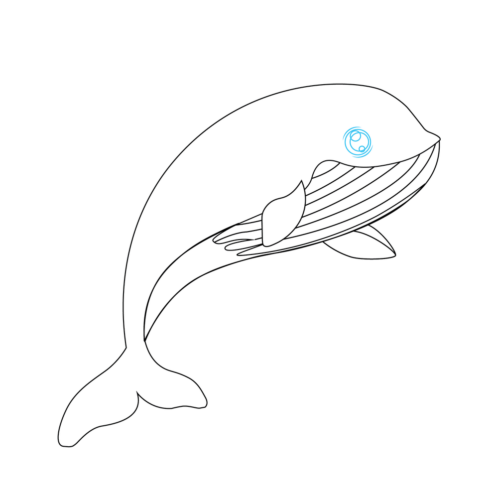How to Draw A Whale Step by Step Step  6