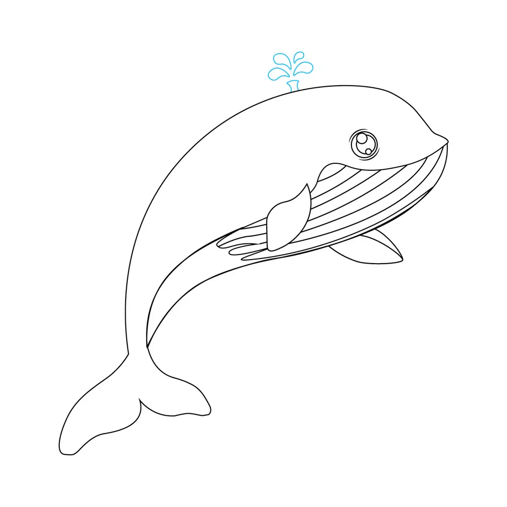 How to Draw A Whale Step by Step Step  7