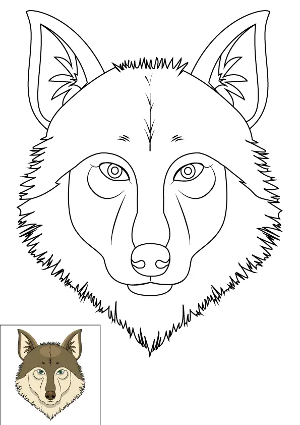 How to Draw A Wolf Head Step by Step Printable Color