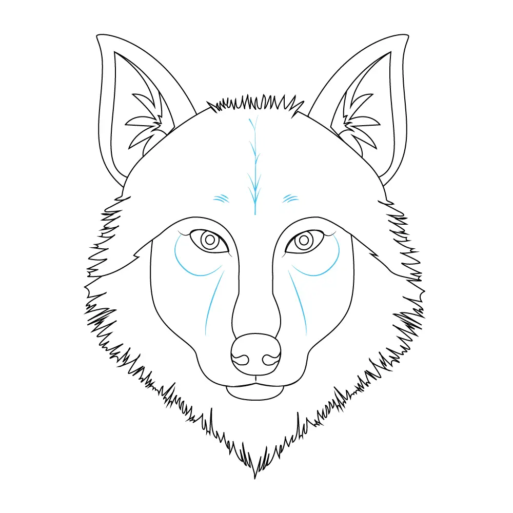 How to Draw A Wolf Head Step by Step Step  10