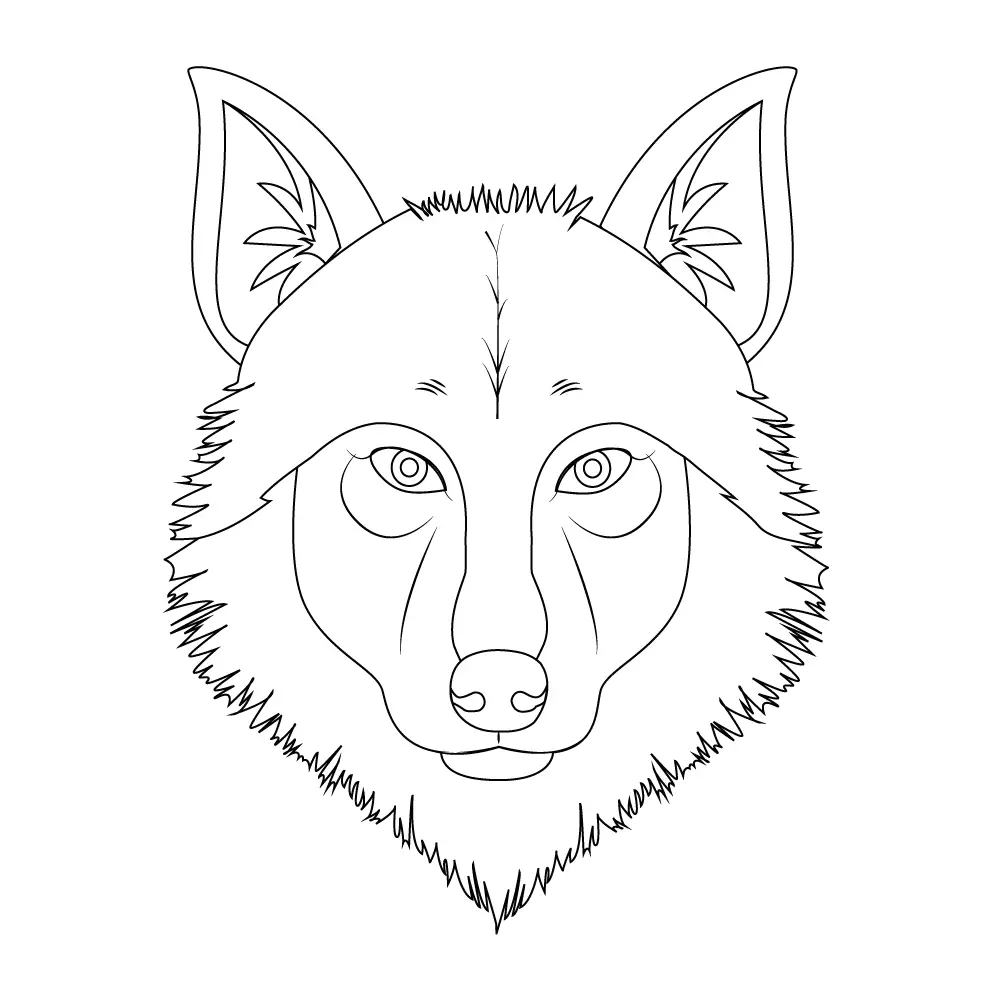 How to Draw A Wolf Head Step by Step Step  11