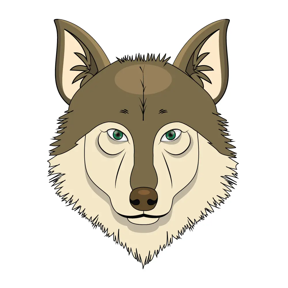How to Draw A Wolf Head Step by Step Step  12