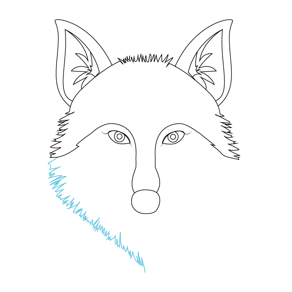 How to Draw A Wolf Head Step by Step Step  7