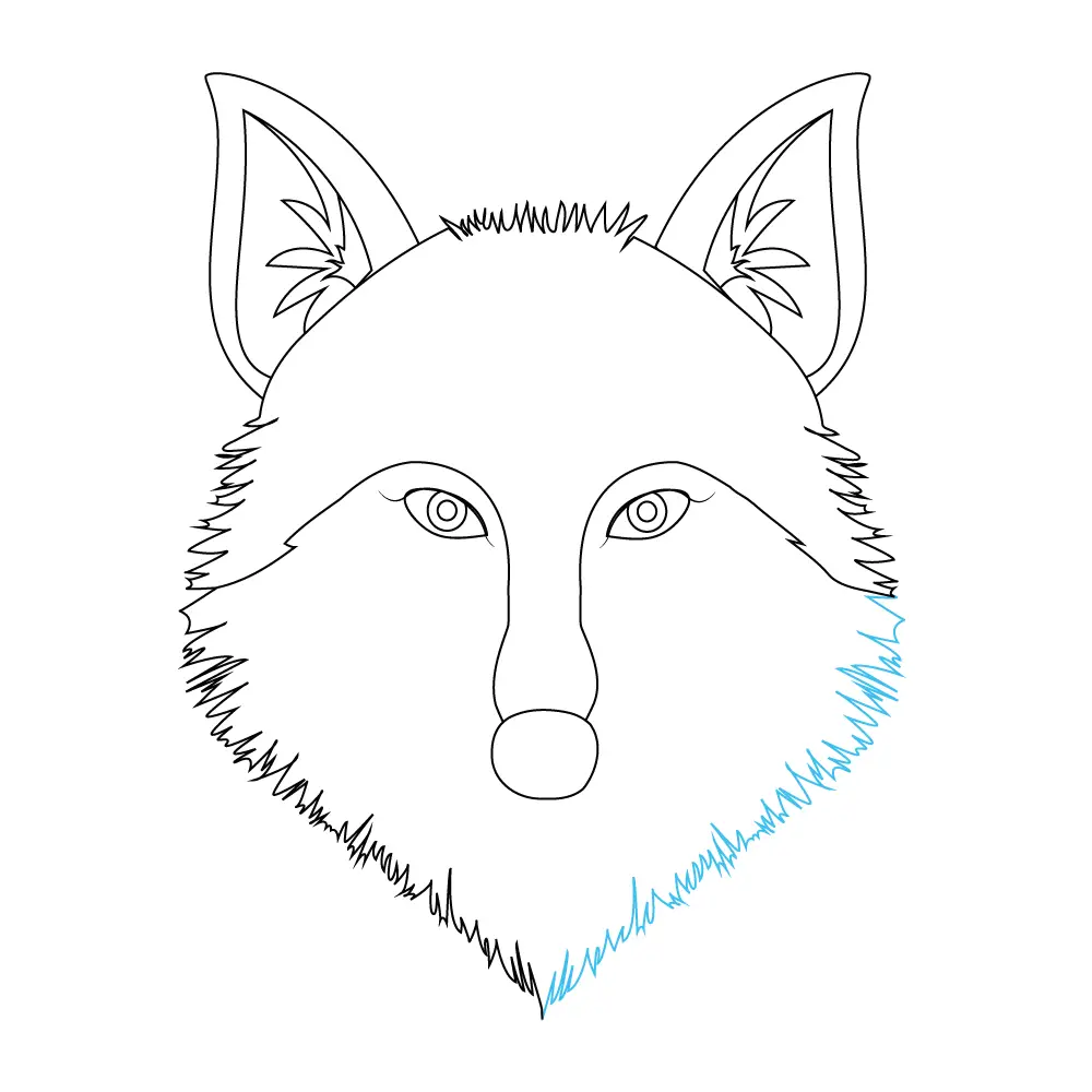 How to Draw A Wolf Head Step by Step Step  8