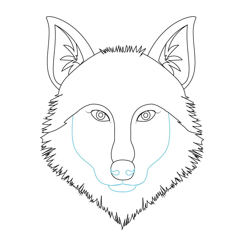 How to Draw A Wolf Head Step by Step Step  9