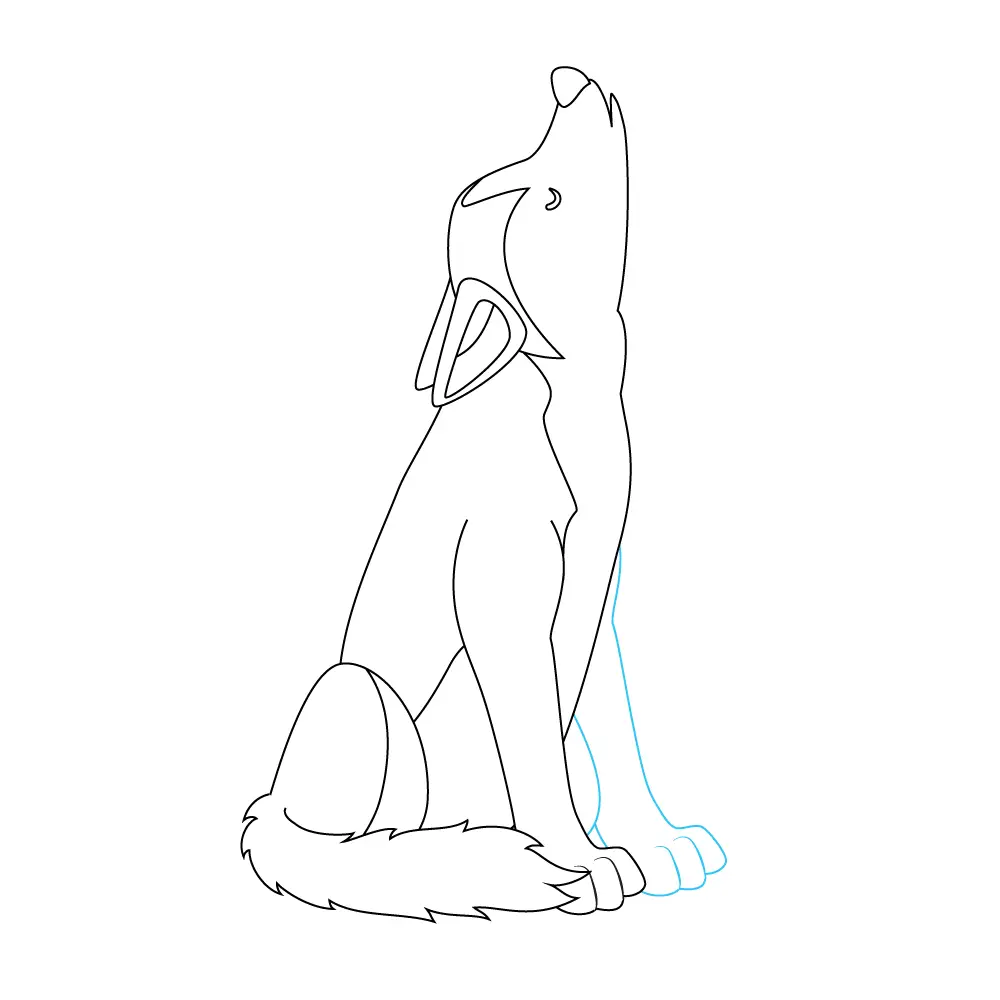 How to Draw A Wolf Howling Step by Step Step  10