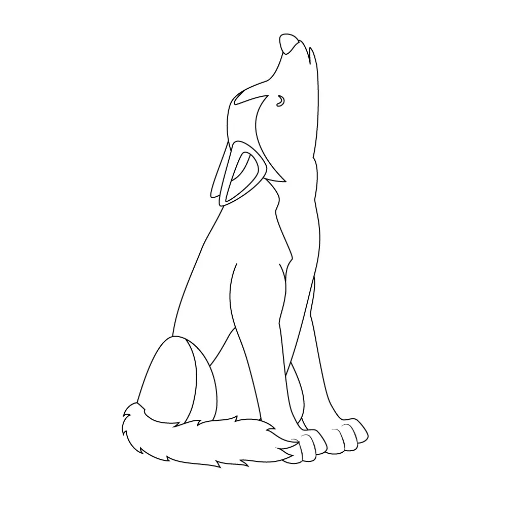 How to Draw A Wolf Howling Step by Step Step  11