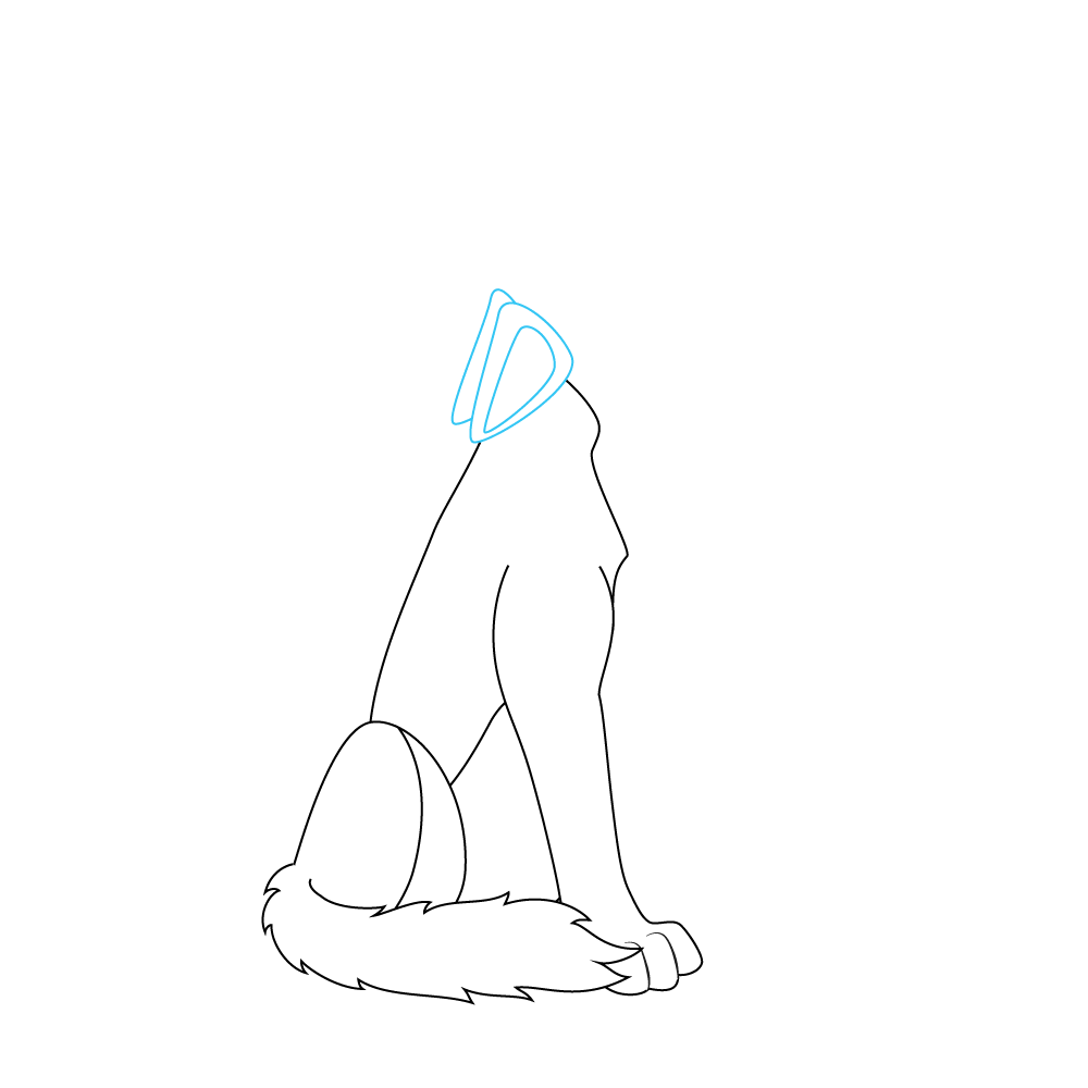 How to Draw A Wolf Howling Step by Step Step  6