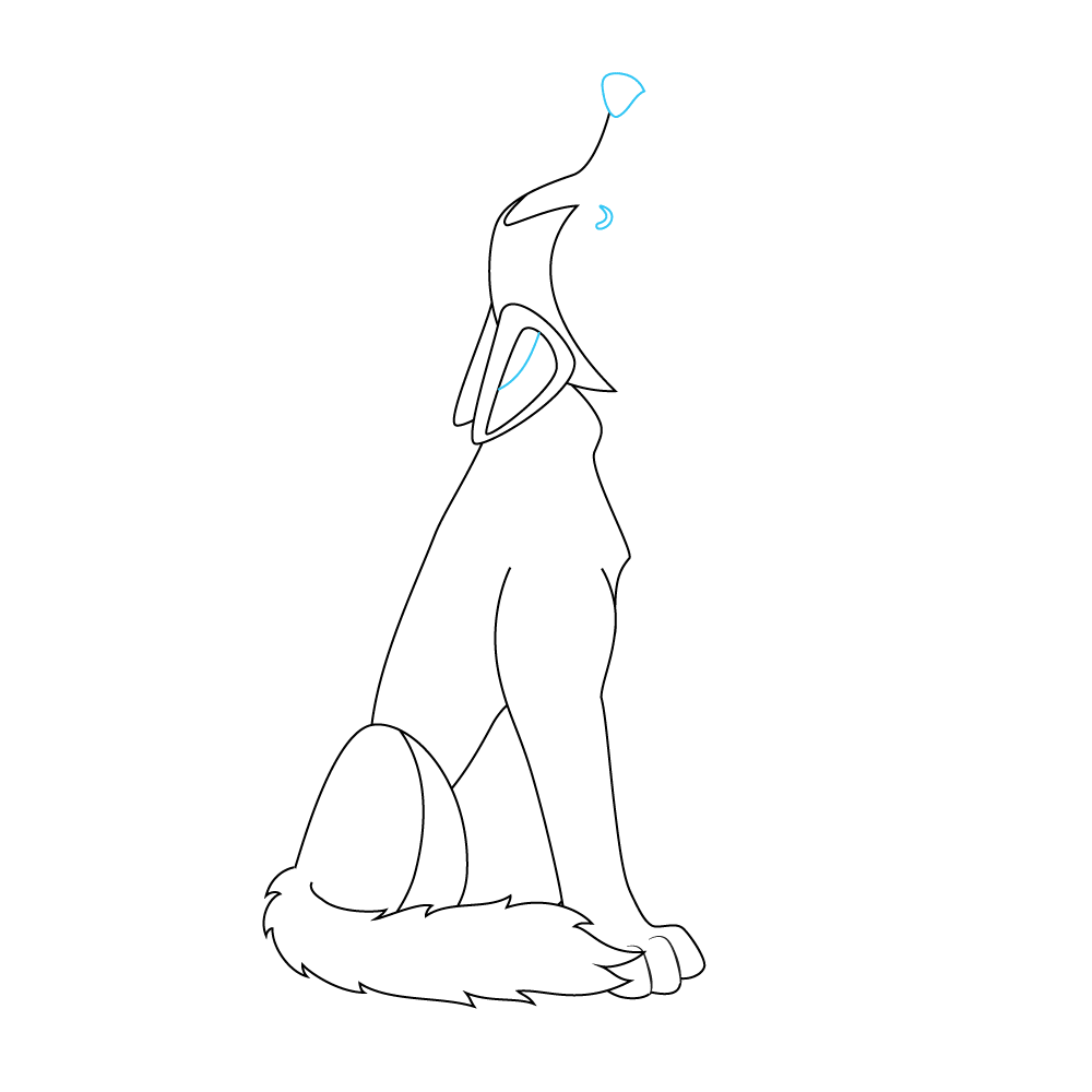 How to Draw A Wolf Howling Step by Step Step  8