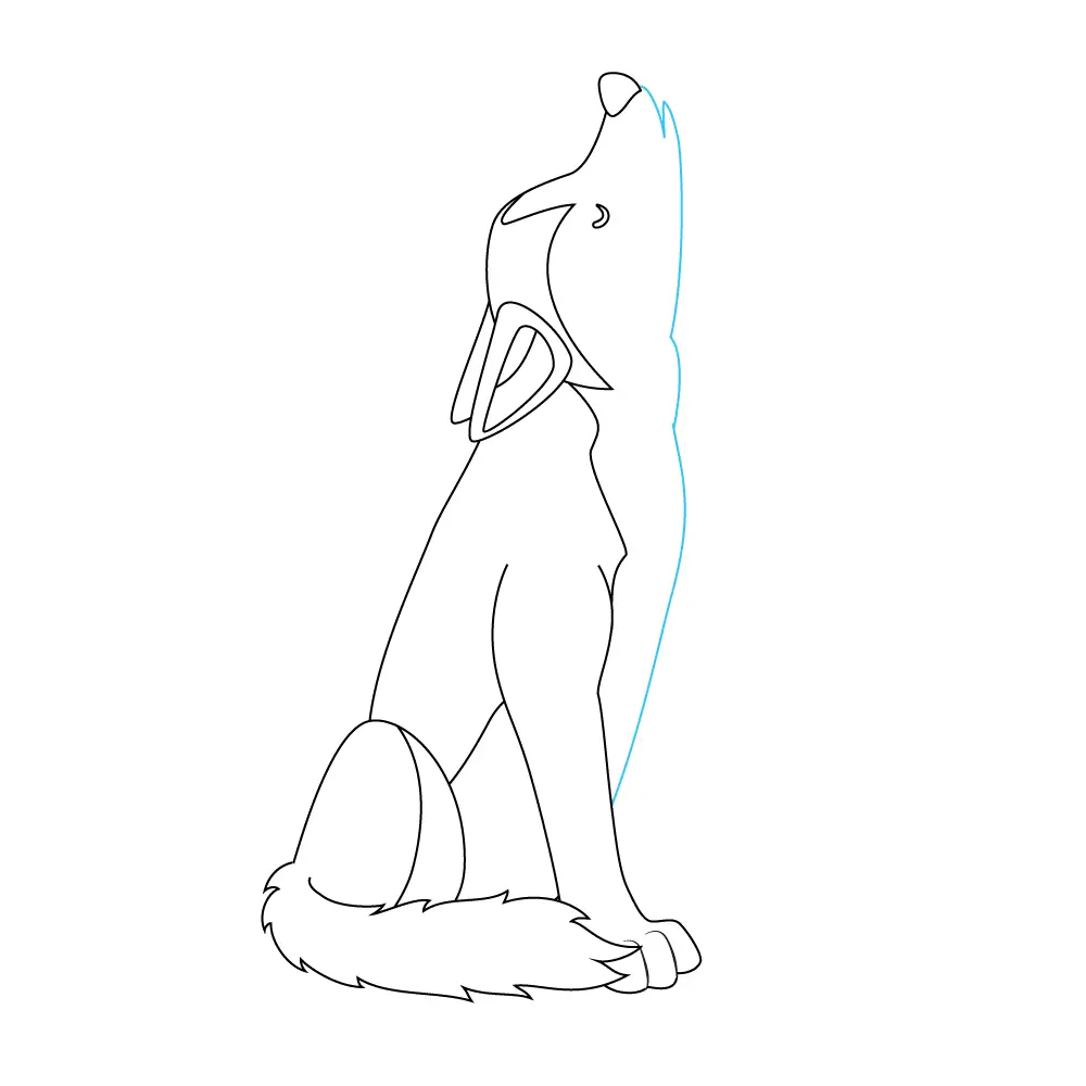 How to Draw A Wolf Howling Step by Step Step  9