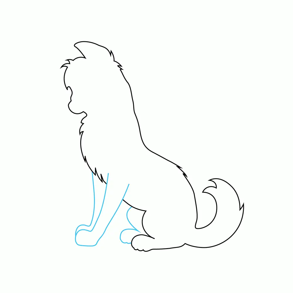 How to Draw A Wolf Step by Step Step  4