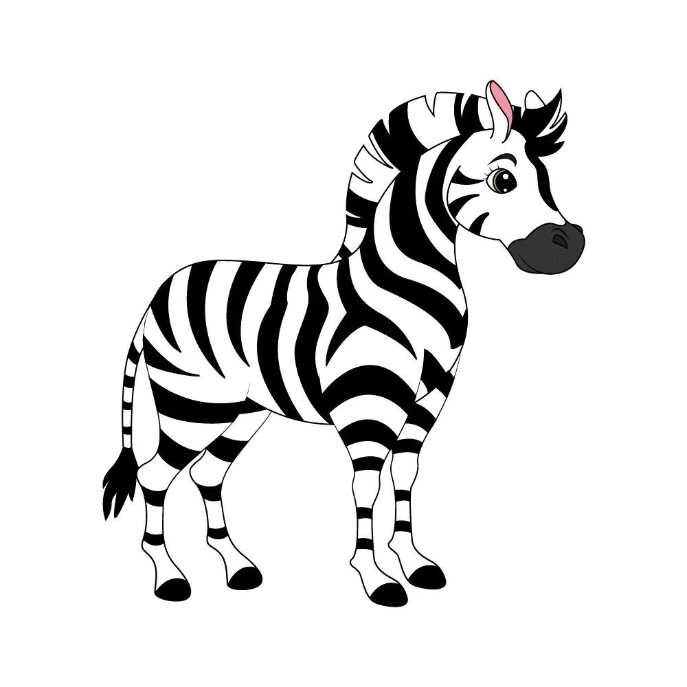 How to Draw A Zebra Step by Step Step  13