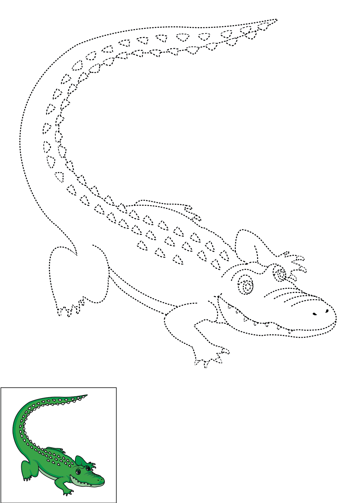How to Draw An Alligator Step by Step Printable Color