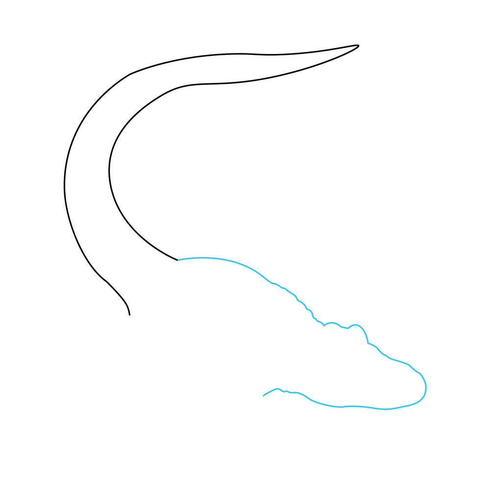 How to Draw An Alligator Step by Step Step  2