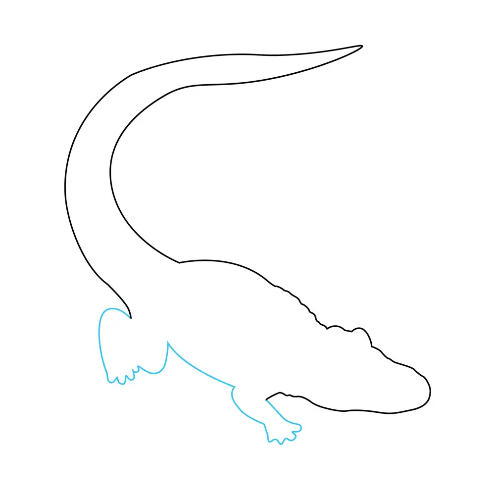 How to Draw An Alligator Step by Step Step  3