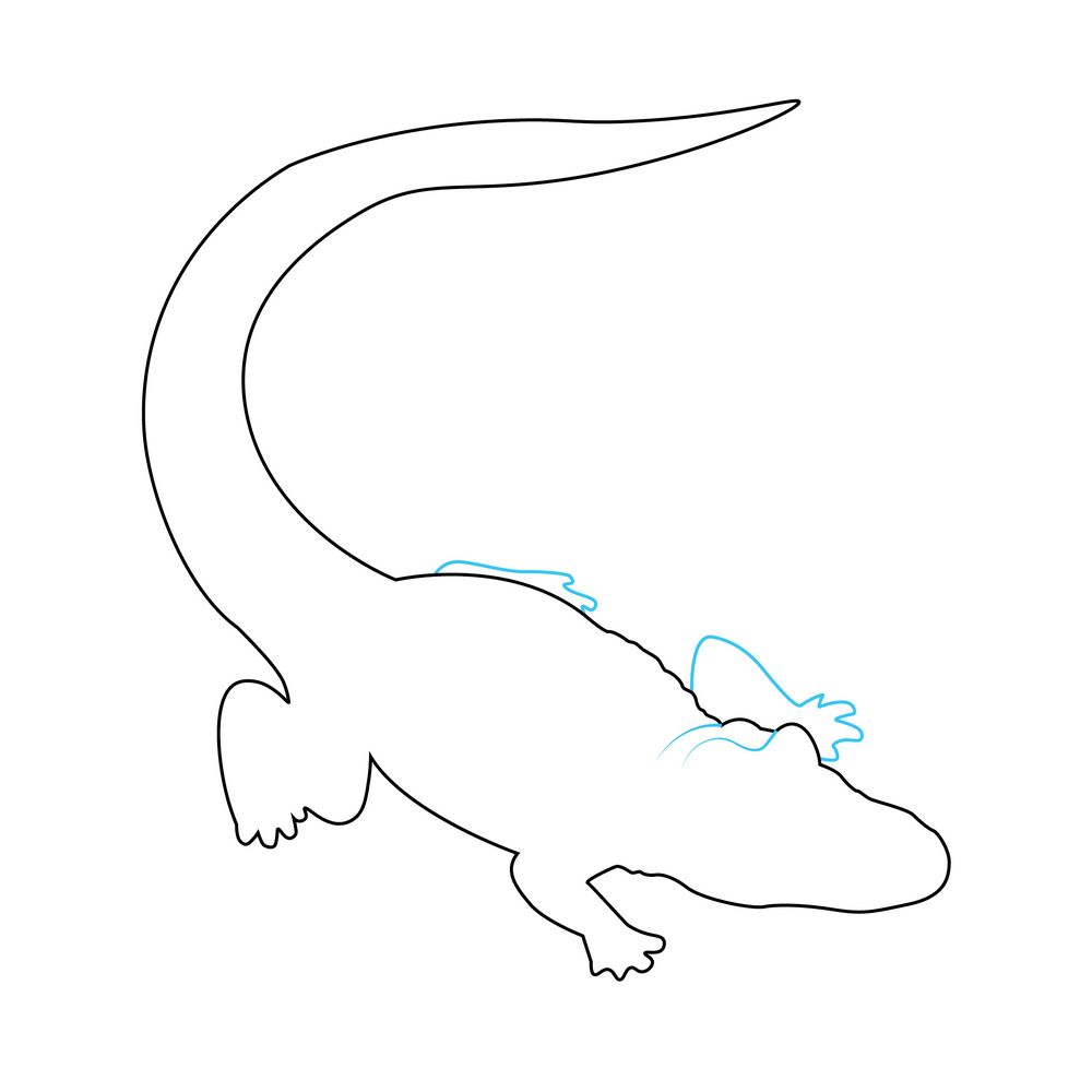 How to Draw An Alligator Step by Step Step  4
